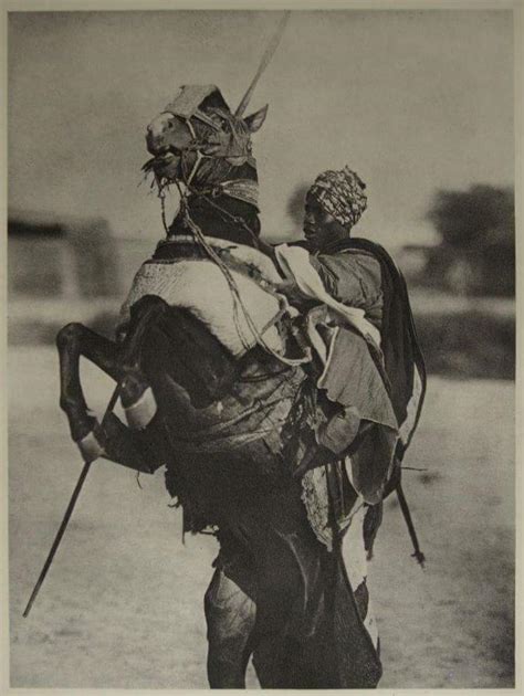 lat dior diop